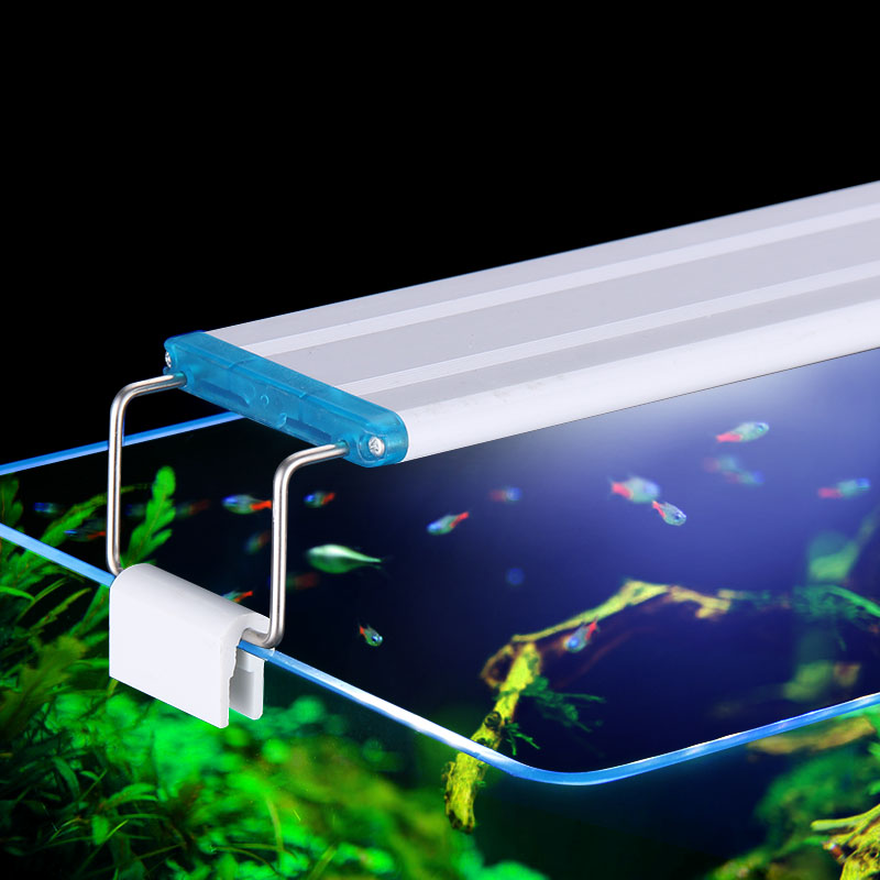 Extensible Waterproof Clip on  – Planted Aquarium Pendant Light recenzja i cena