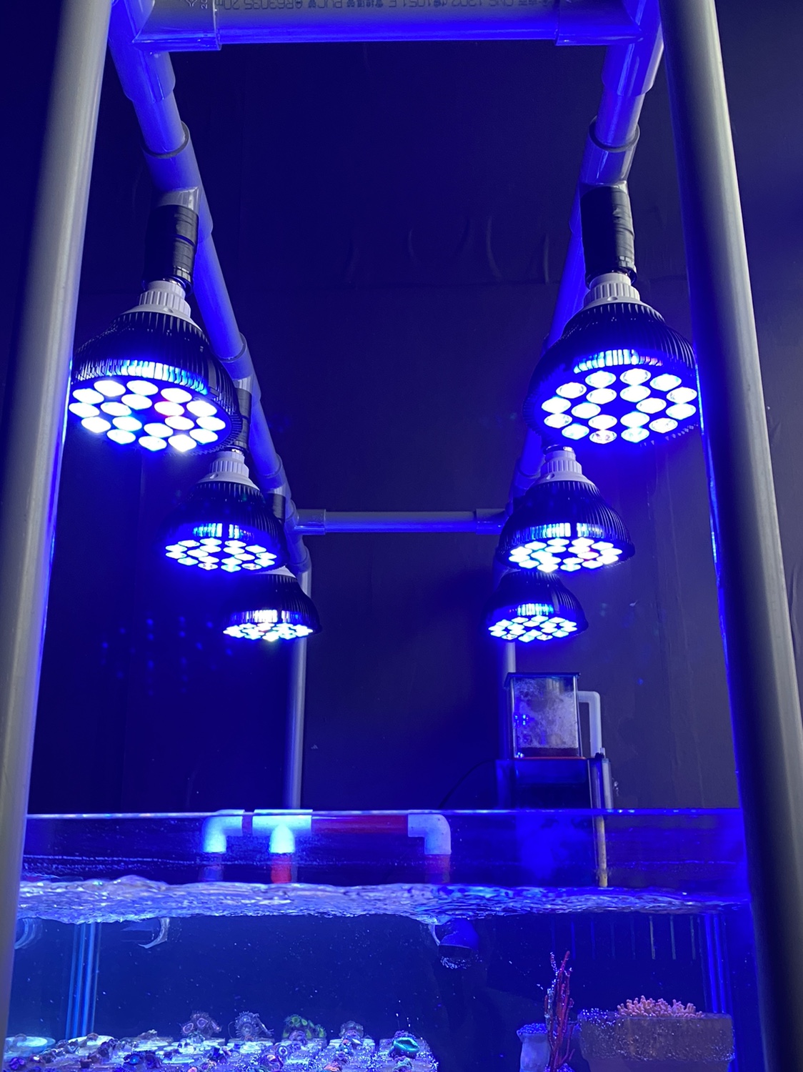 Full Spectrum LED Aquarium Ree – Planted Aquarium Pendant Light recenzja i cena