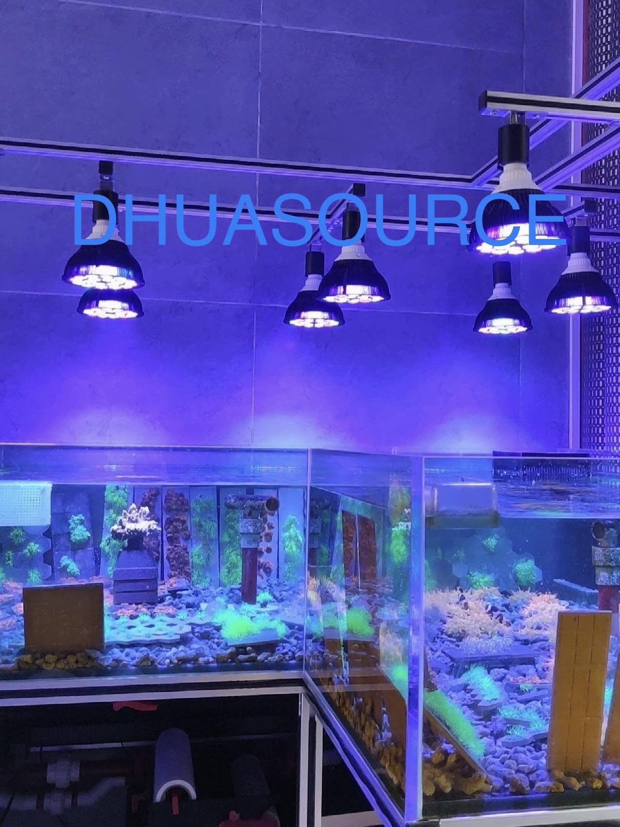 Full Spectrum LED Aquarium Ree – Planted Aquarium Pendant Light recenzja i cena