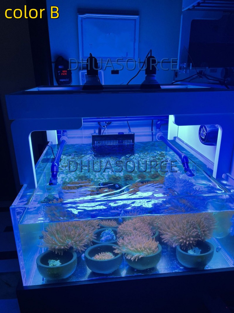 Full Spectrum LED Aquarium Ree – Planted Aquarium Pendant Light recenzja i cena