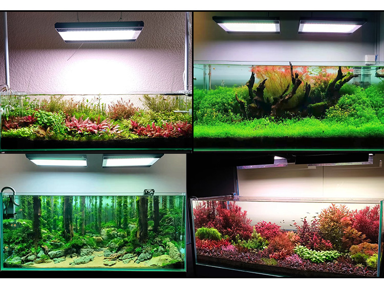 WEEK AQUA A430Pro LED Aquarium – Planted Aquarium Pendant Light recenzja i cena