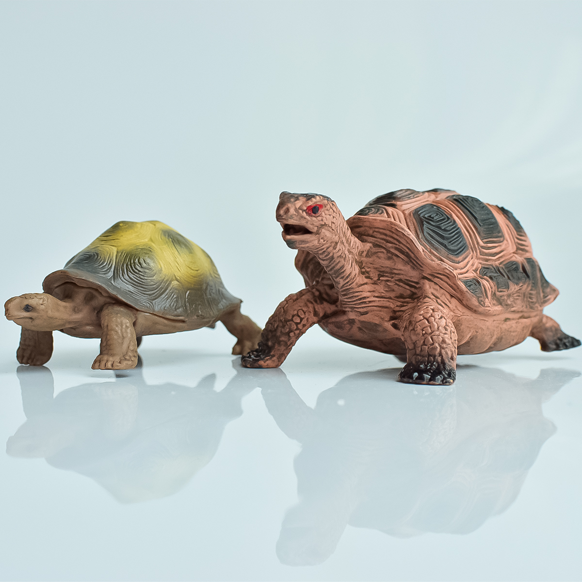 Painted Realistic Animal Turtl – Aquarium Planted Aquarium recenzja i cena