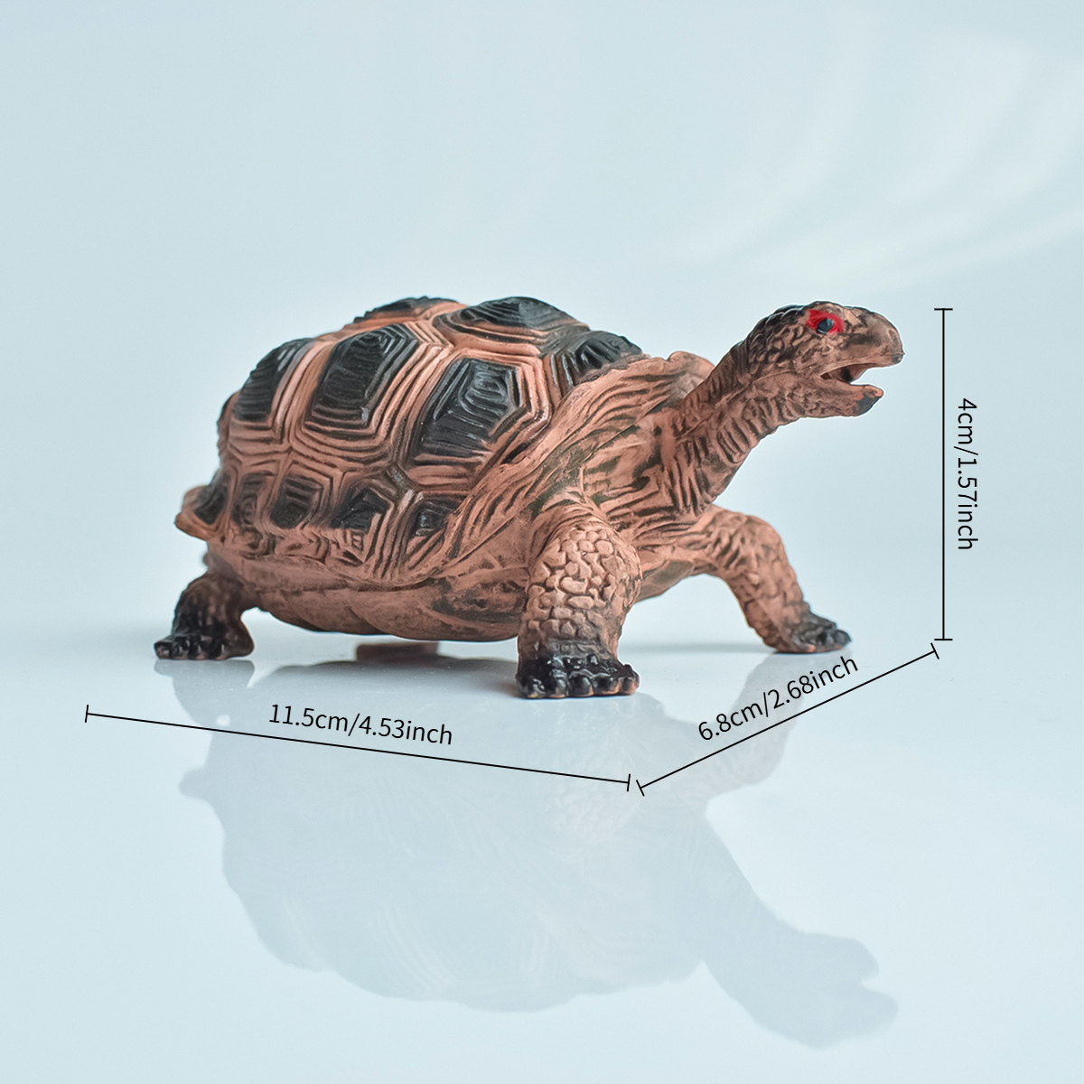 Painted Realistic Animal Turtl – Aquarium Planted Aquarium recenzja i cena