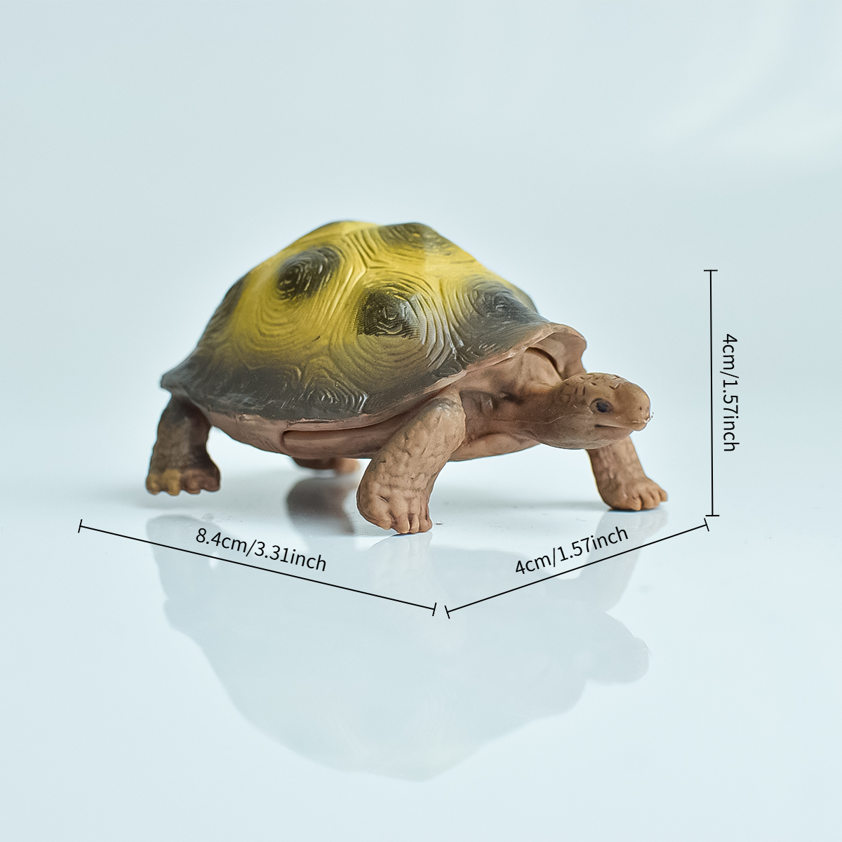 Painted Realistic Animal Turtl – Aquarium Planted Aquarium recenzja i cena