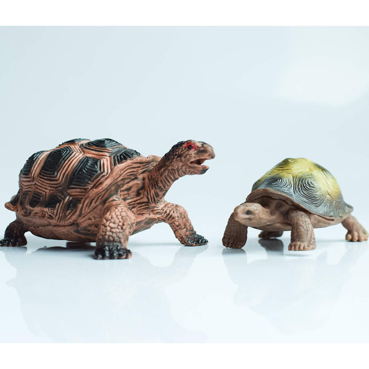 Painted Realistic Animal Turtl – Aquarium Planted Aquarium recenzja i cena