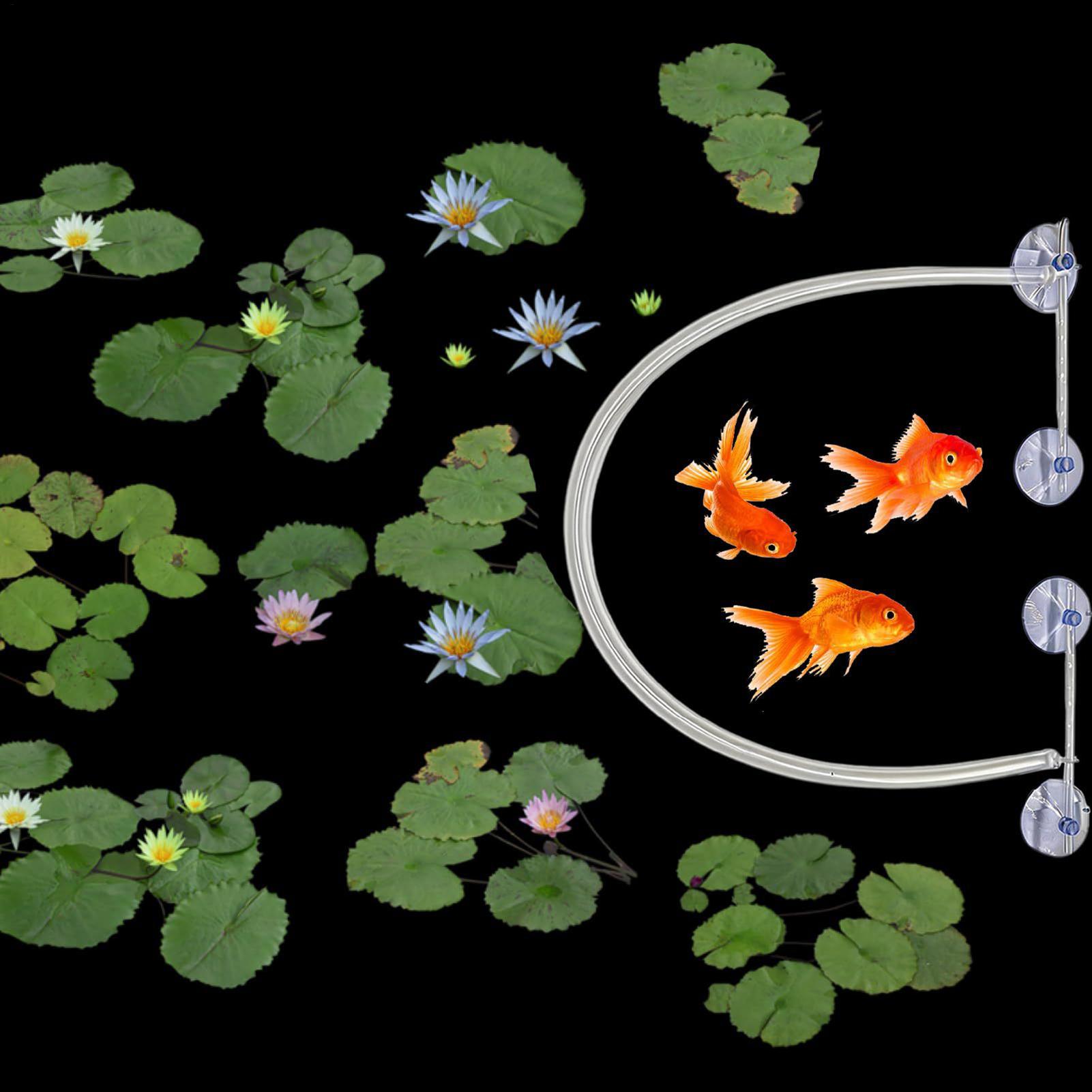 Floating Plant Corral Auto Hei – Planted Aquarium Tank Kit recenzja i cena