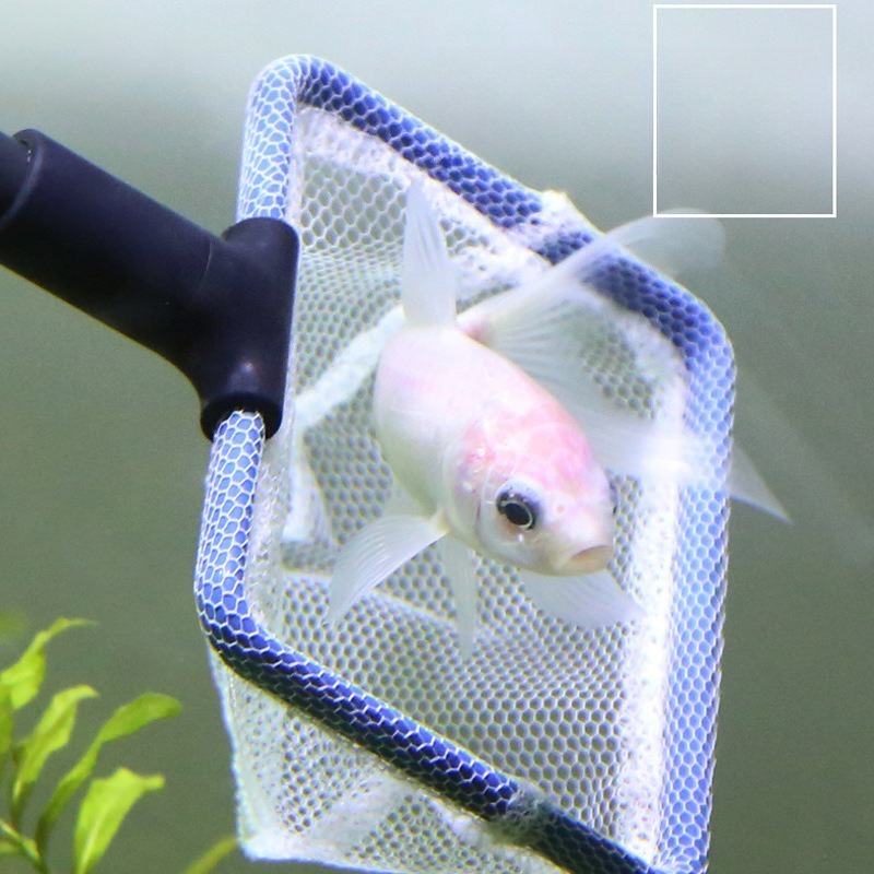 Aquarium Cleaning Tool Set Mul – Planted Aquarium Tool Kit recenzja i cena