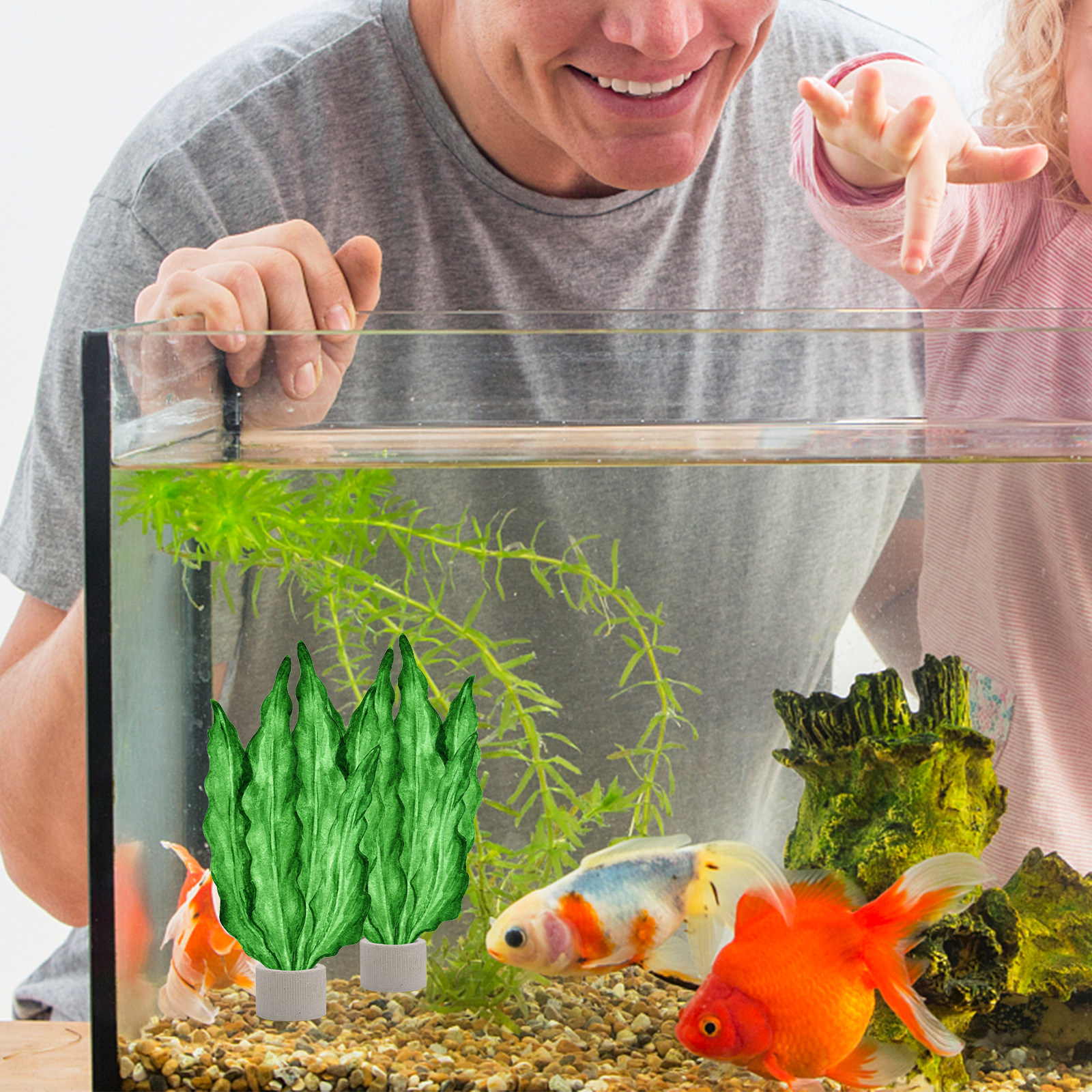5Pcs Premium Pottery Water Pla – Aquarium For Planted Tank recenzja i cena