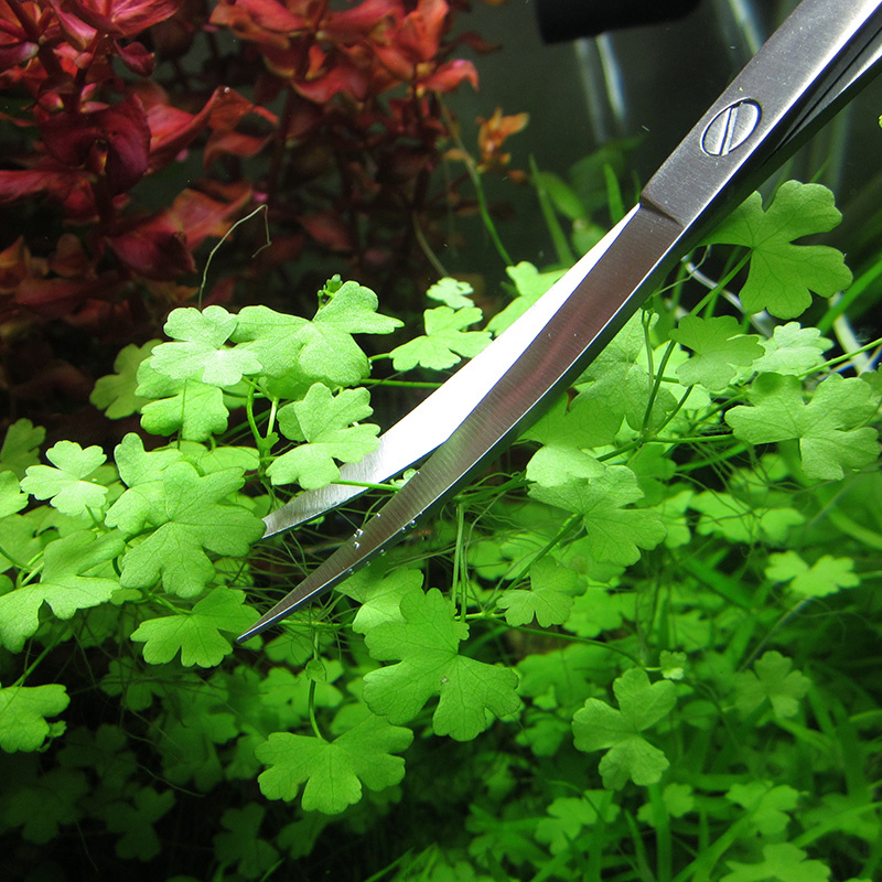 Aquarium Accessories Hard Stai – Planted Aquarium Tool Kit recenzja i cena
