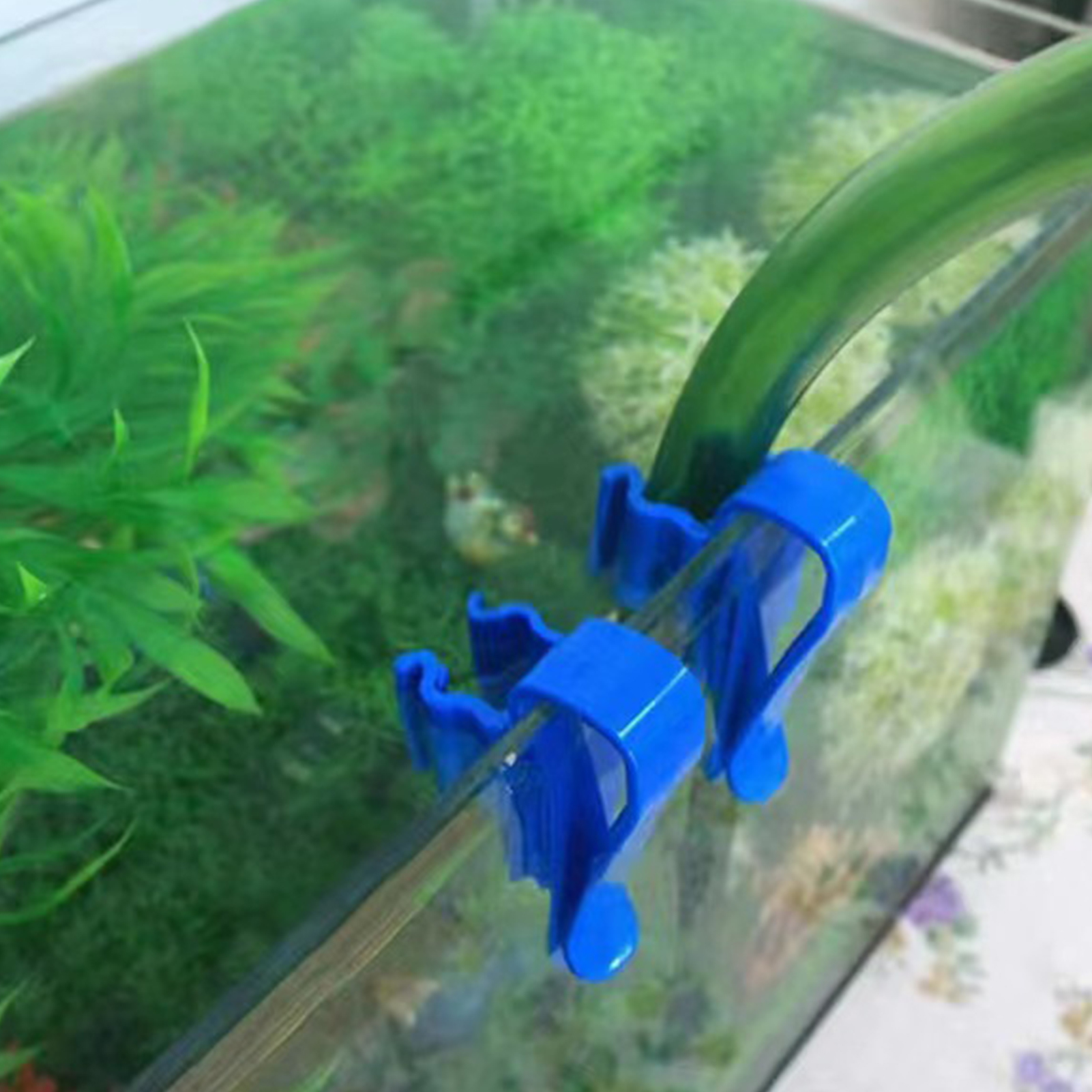 Aquarium Tube Holder Clip Fish – Planted Aquarium Tool Kit recenzja i cena