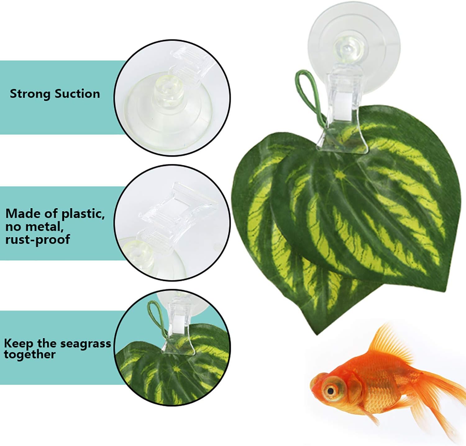 5pcs Veggie Clips Aquarium Sea – Aquarium For Planted Tank recenzja i cena