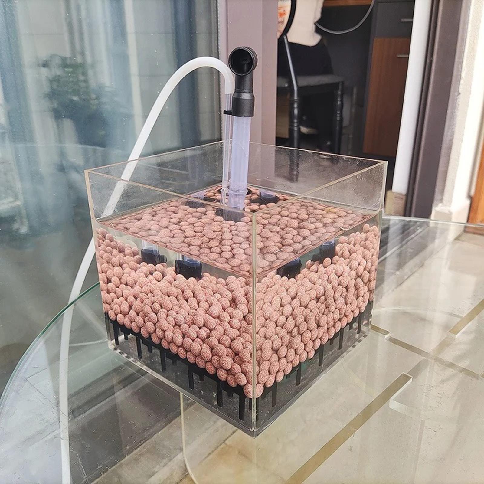 Aquarium Filter Box Square Tra – Planted Aquarium Undergravel Filter recenzja i cena