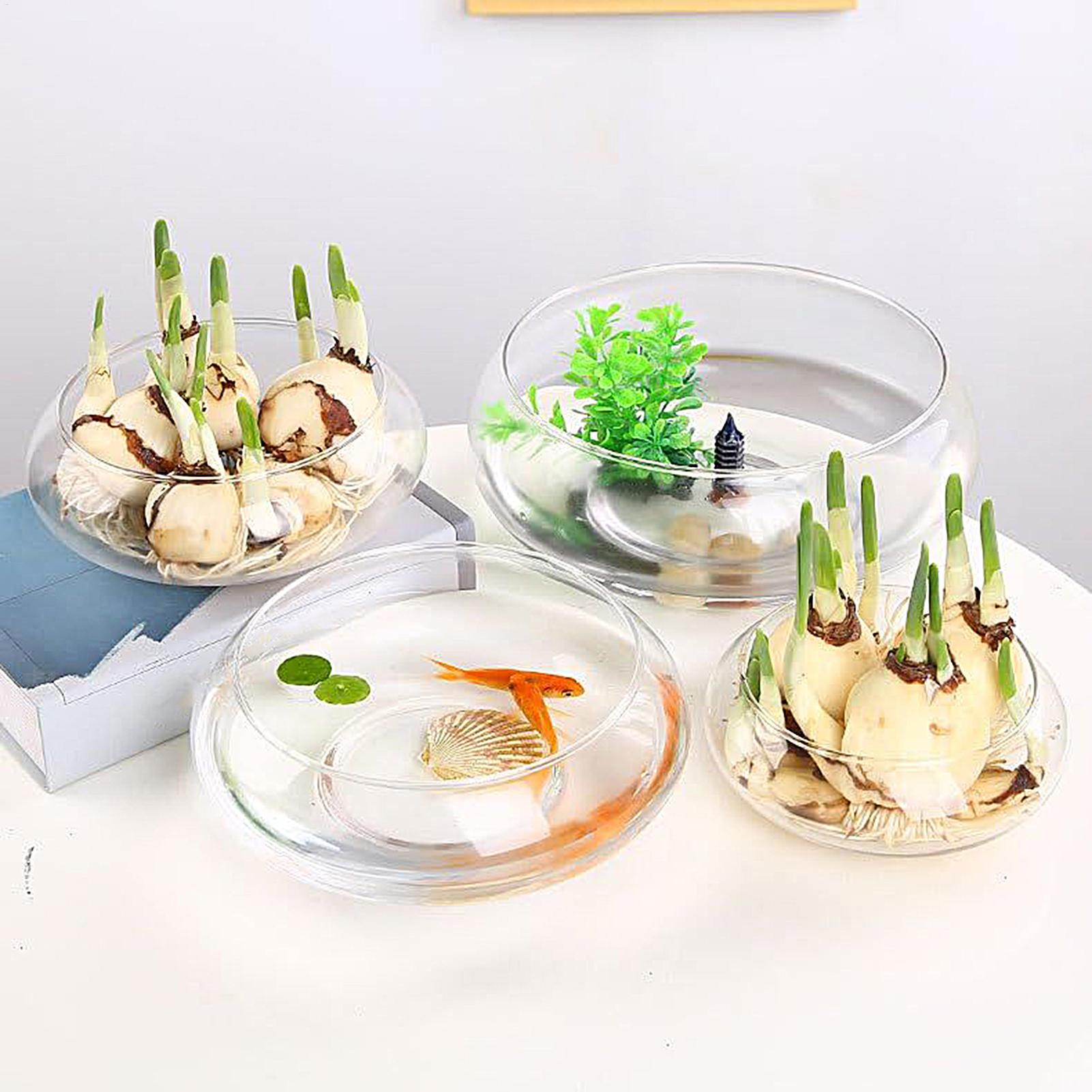Fish Glass Bowl Glass Large Hy – Aquarium Planted Aquarium recenzja i cena
