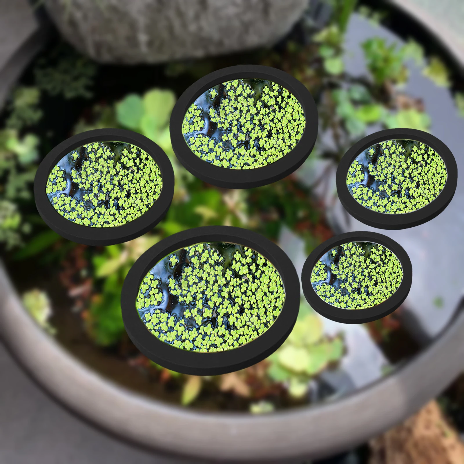 5Pcs EVA Fish Feeding Ring Aqu – Aquarium Planted Aquarium recenzja i cena