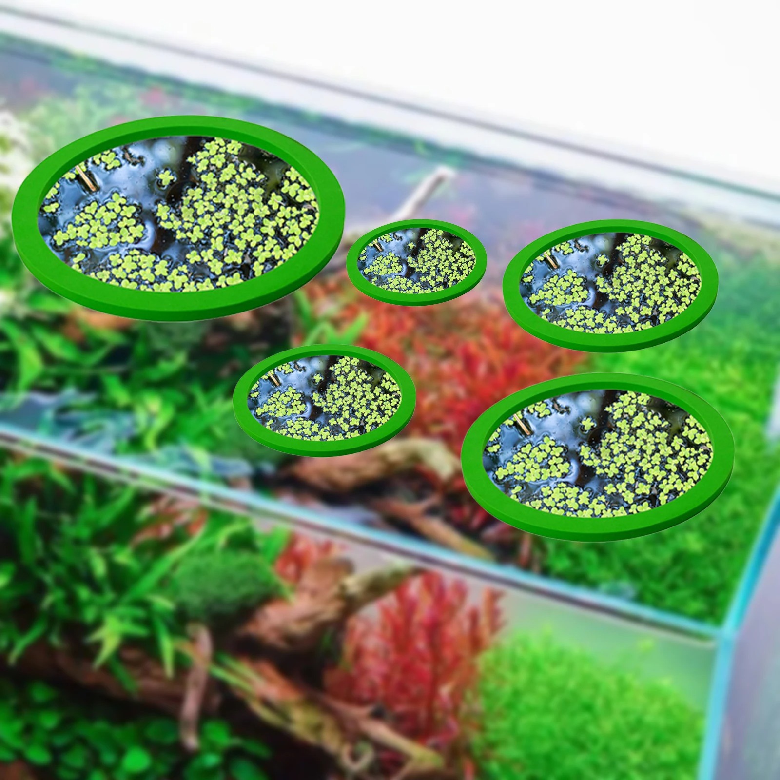 5Pcs EVA Fish Feeding Ring Aqu – Aquarium Planted Aquarium recenzja i cena