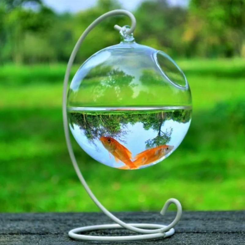 Transparent Spherical Glass Ha – Aquarium For Planted Tank recenzja i cena