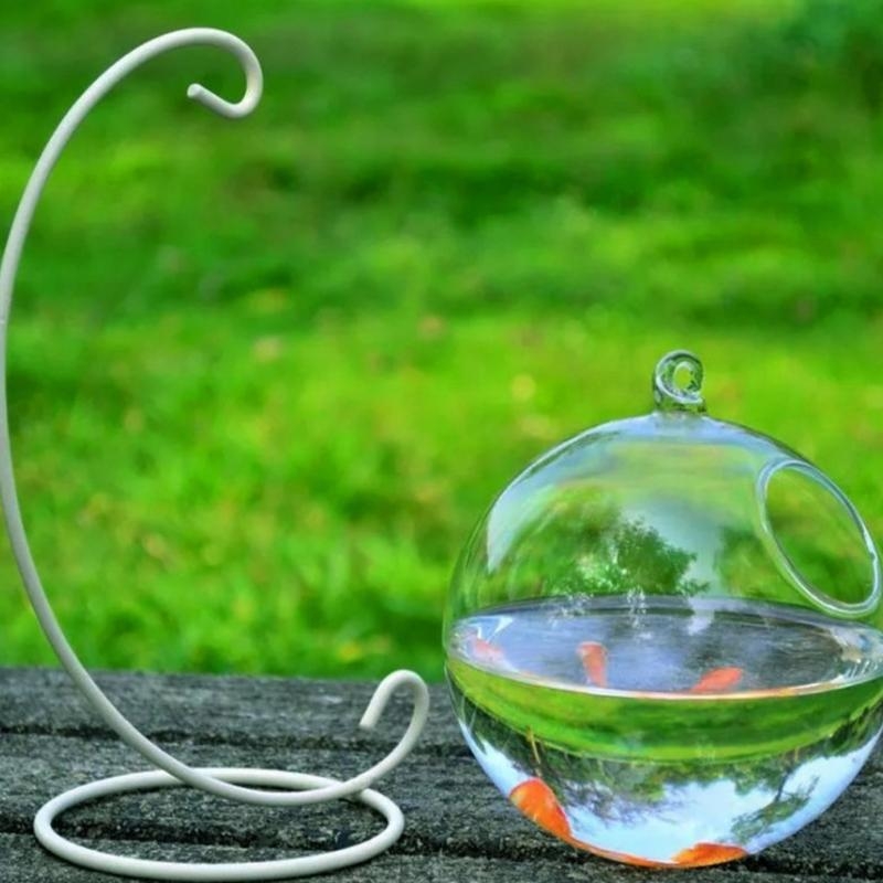 Transparent Spherical Glass Ha – Aquarium For Planted Tank recenzja i cena