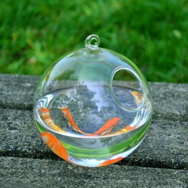 Transparent Spherical Glass Ha – Aquarium For Planted Tank recenzja i cena