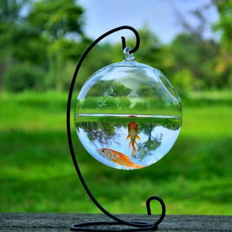 Transparent Spherical Glass Ha – Aquarium For Planted Tank recenzja i cena