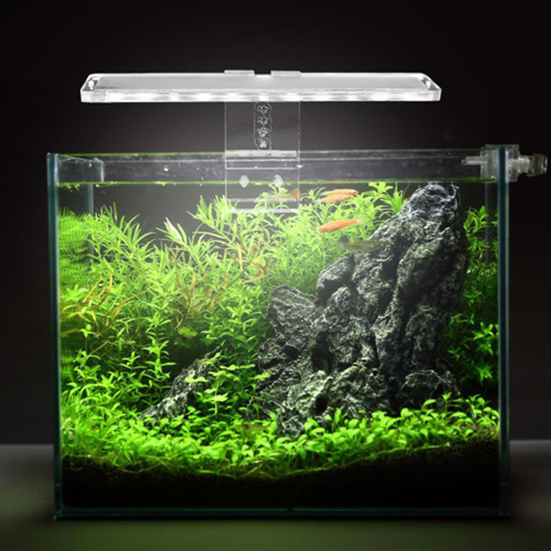 LED Aquarium Lamp Plant Light  – Planted Aquarium Best Fish recenzja i cena