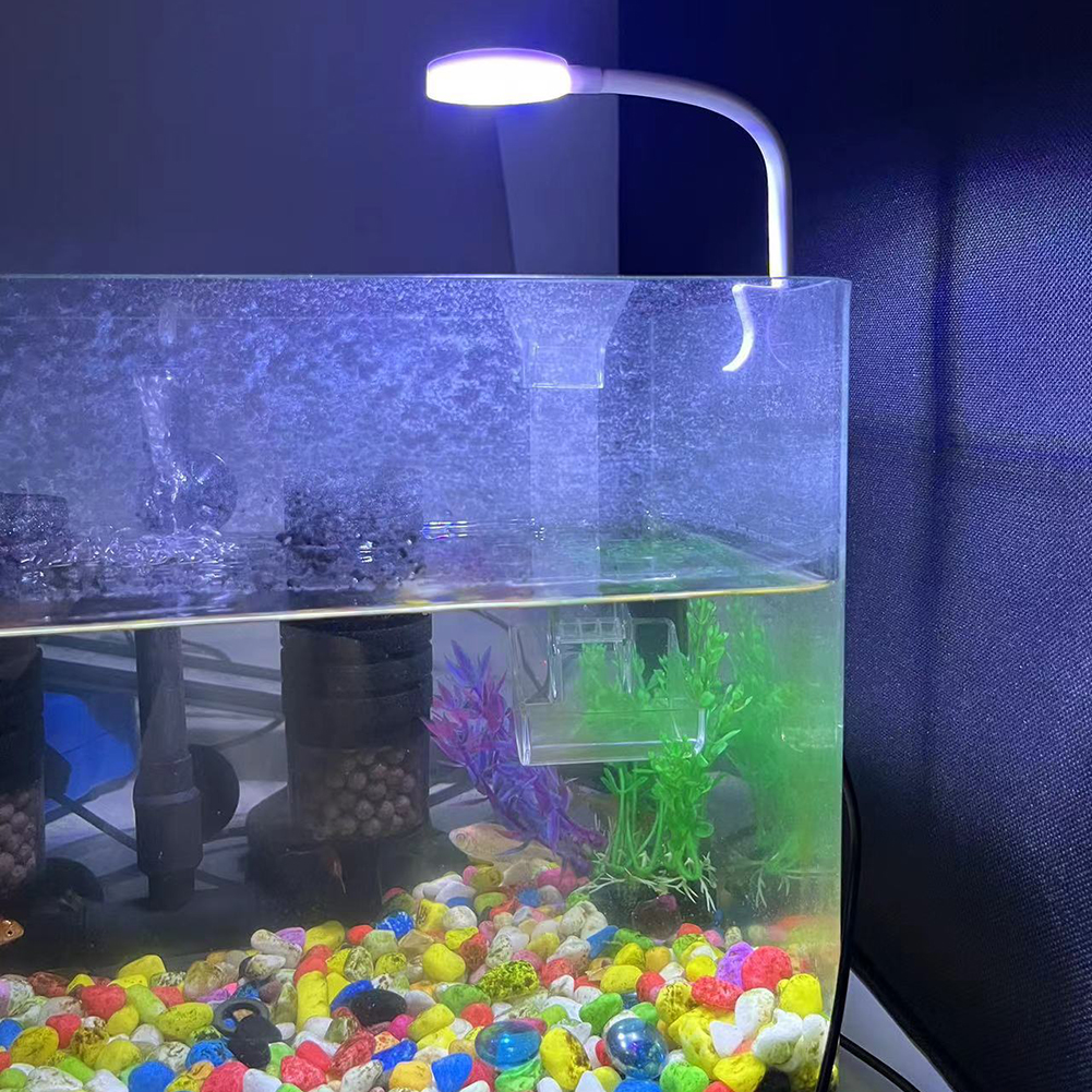 8W Aquarium Light Aquatic Plan – Planted Aquarium Tank Kit recenzja i cena