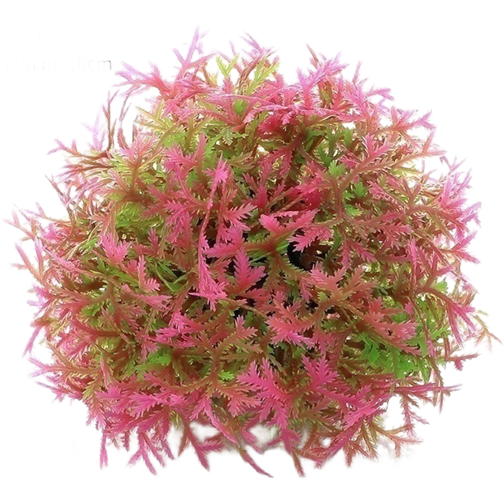 PE Aquarium Decor Artificial P – Aquarium For Planted Tank recenzja i cena