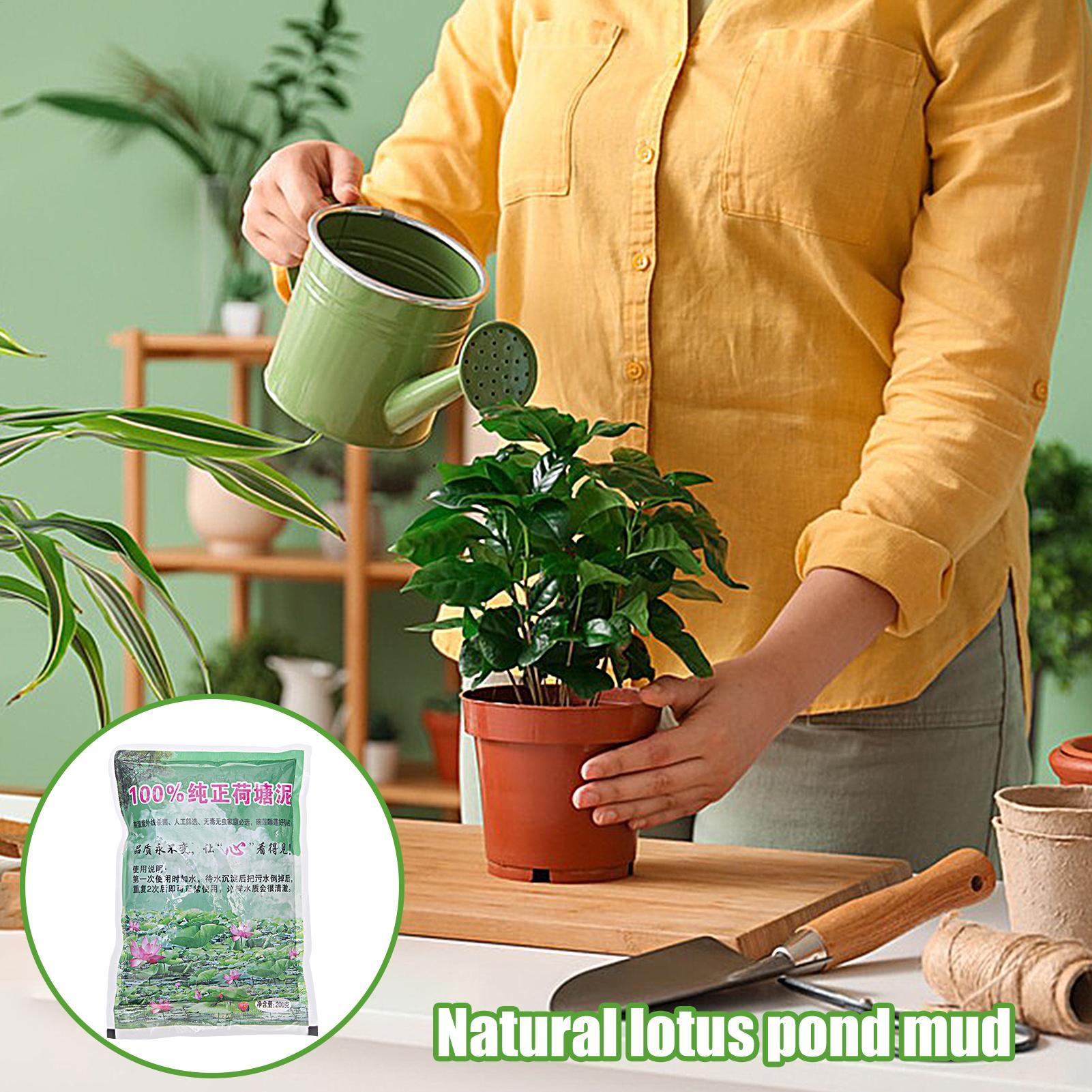 200g/bag Aquarium Soil Natural – Aquarium Plant Liquid Fertilizer recenzja i cena