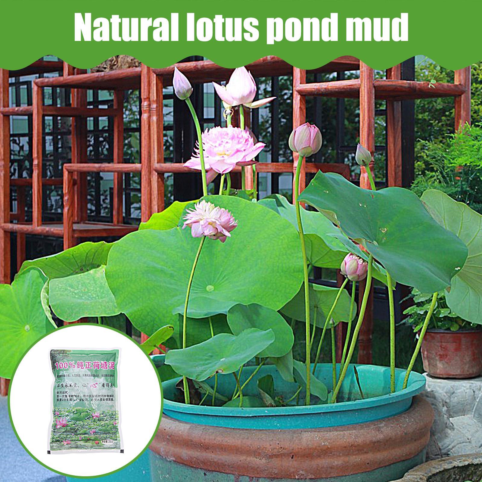 200g/bag Aquarium Soil Natural – Aquarium Plant Liquid Fertilizer recenzja i cena
