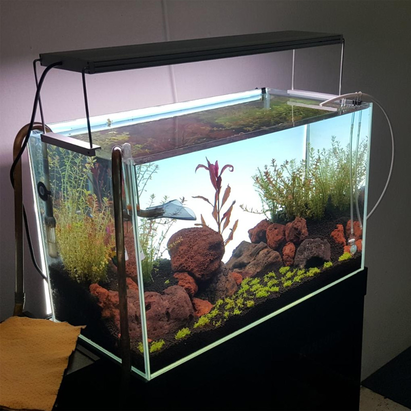 Best-selling white LED aquariu – Planted Aquarium Best Fish recenzja i cena