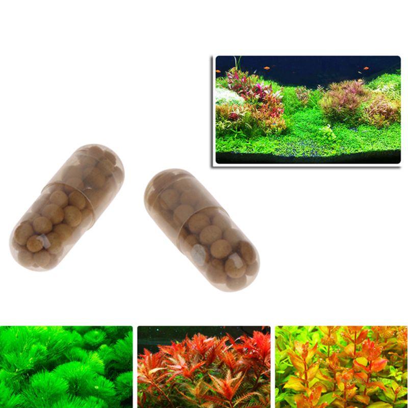 QX2E Aquarium Live Plant Ferti – Planted Aquarium Best Fish recenzja i cena