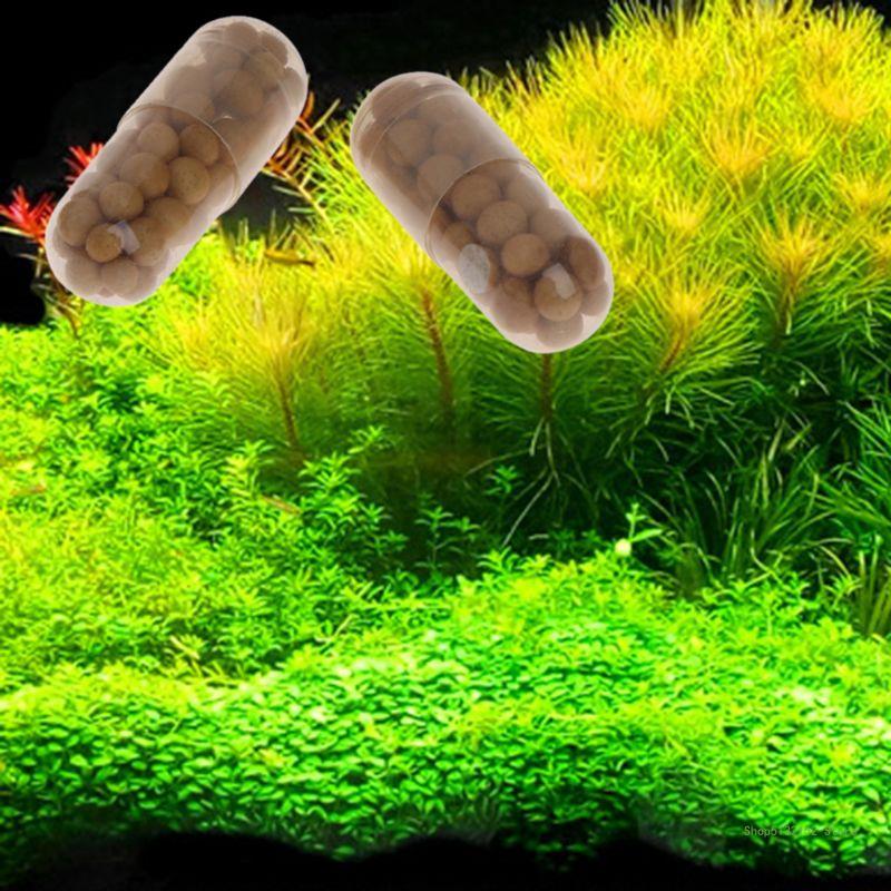 QX2E Aquarium Live Plant Ferti – Planted Aquarium Best Fish recenzja i cena