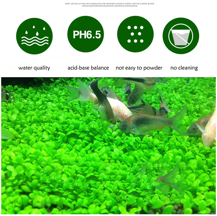 Aquarium Plant Seeds Soil Fish – Aquarium For Planted Tank recenzja i cena