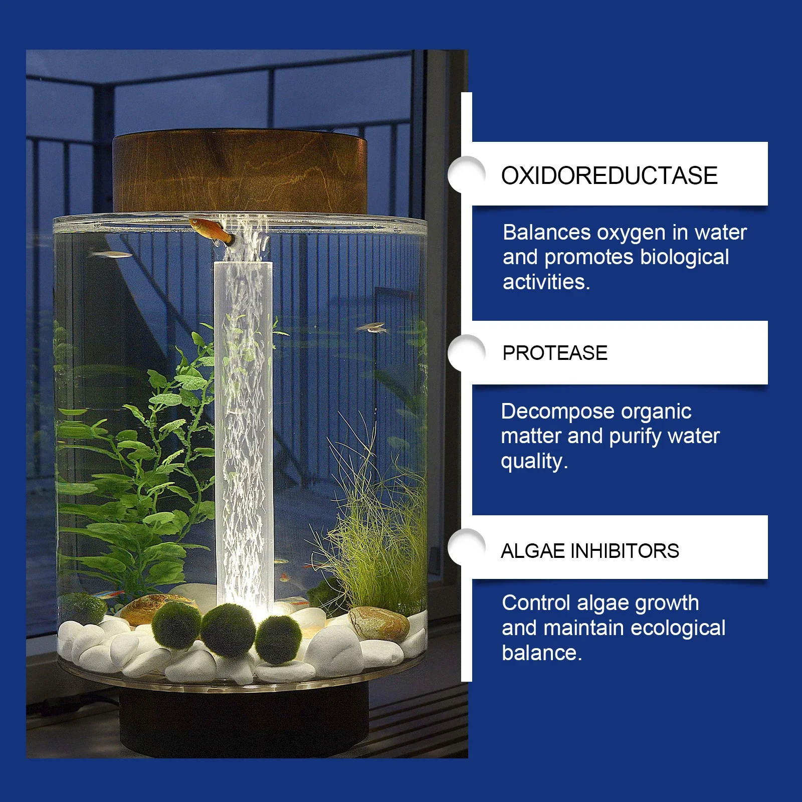 Aquarium Water Clarifier Fish  – Aquarium Plant Liquid Fertilizer recenzja i cena