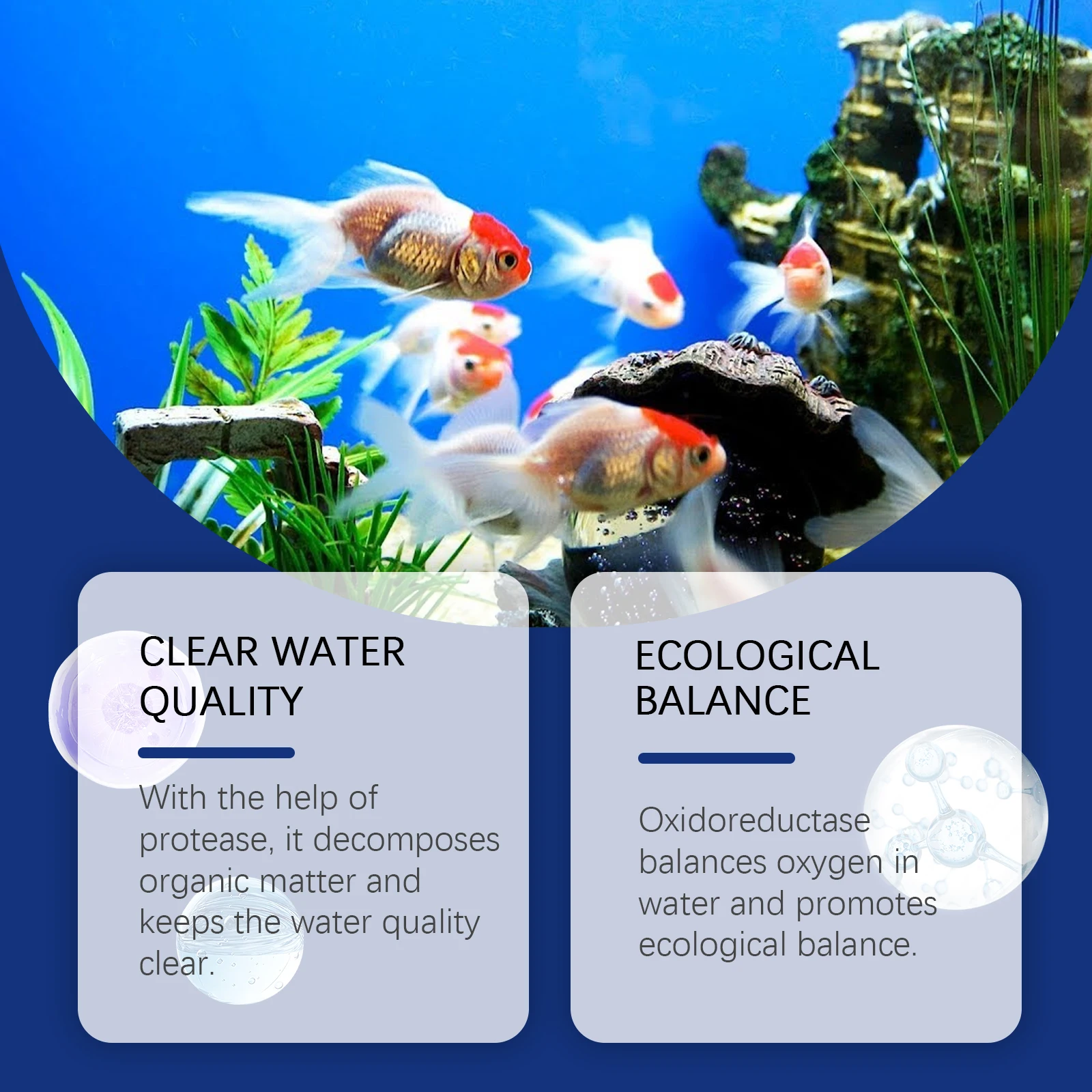 Aquarium Water Clarifier Fish  – Aquarium Plant Liquid Fertilizer recenzja i cena