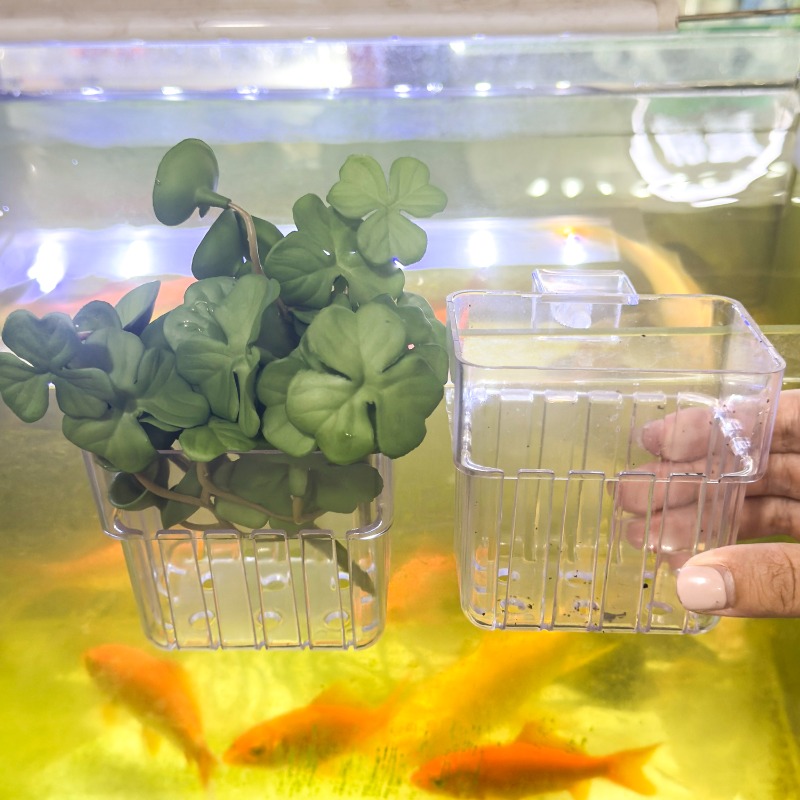 1/5pcs Aquarium Decoration Pla – Aquarium For Planted Tank recenzja i cena