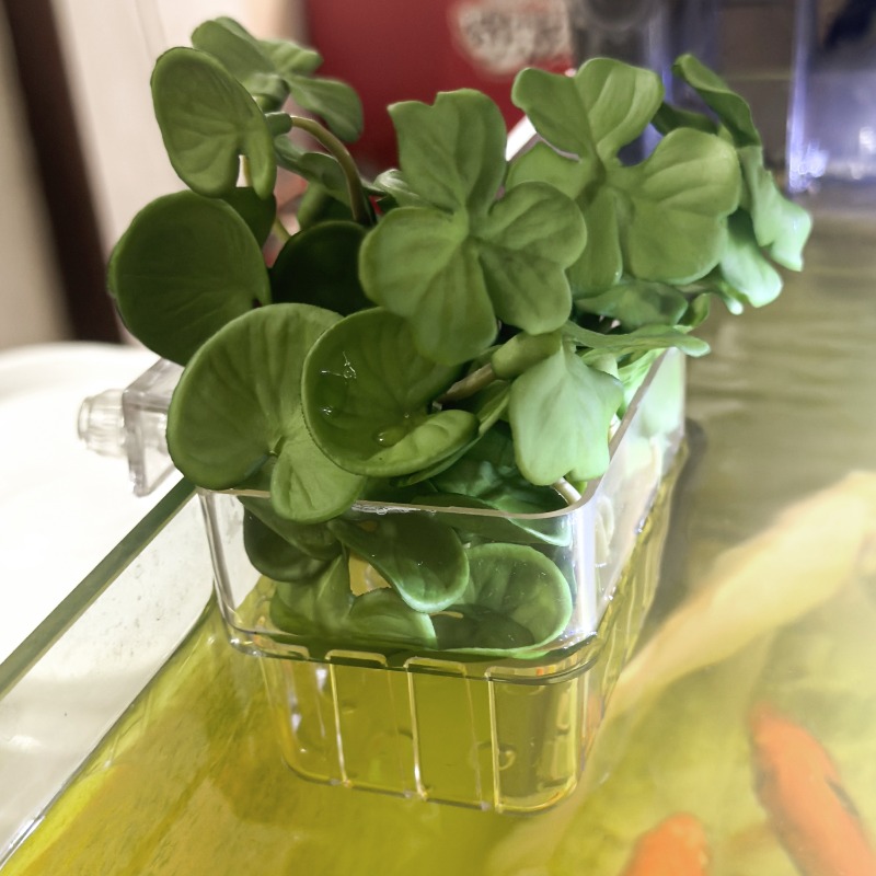 1/5pcs Aquarium Decoration Pla – Aquarium For Planted Tank recenzja i cena