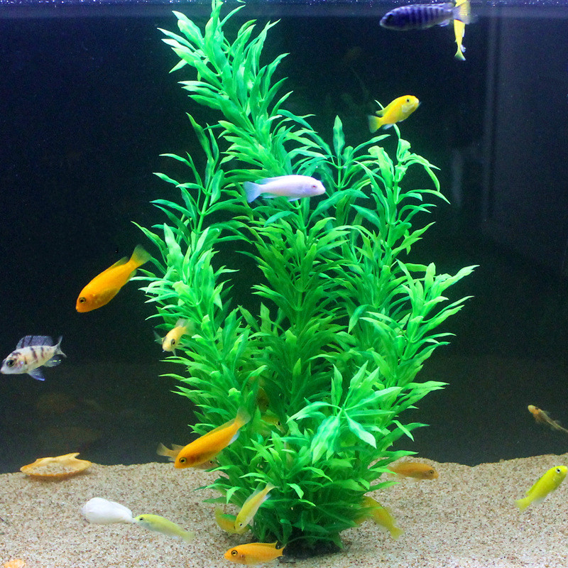 50CM Artificial Fish Tank Rare – Aquarium For Planted Tank recenzja i cena