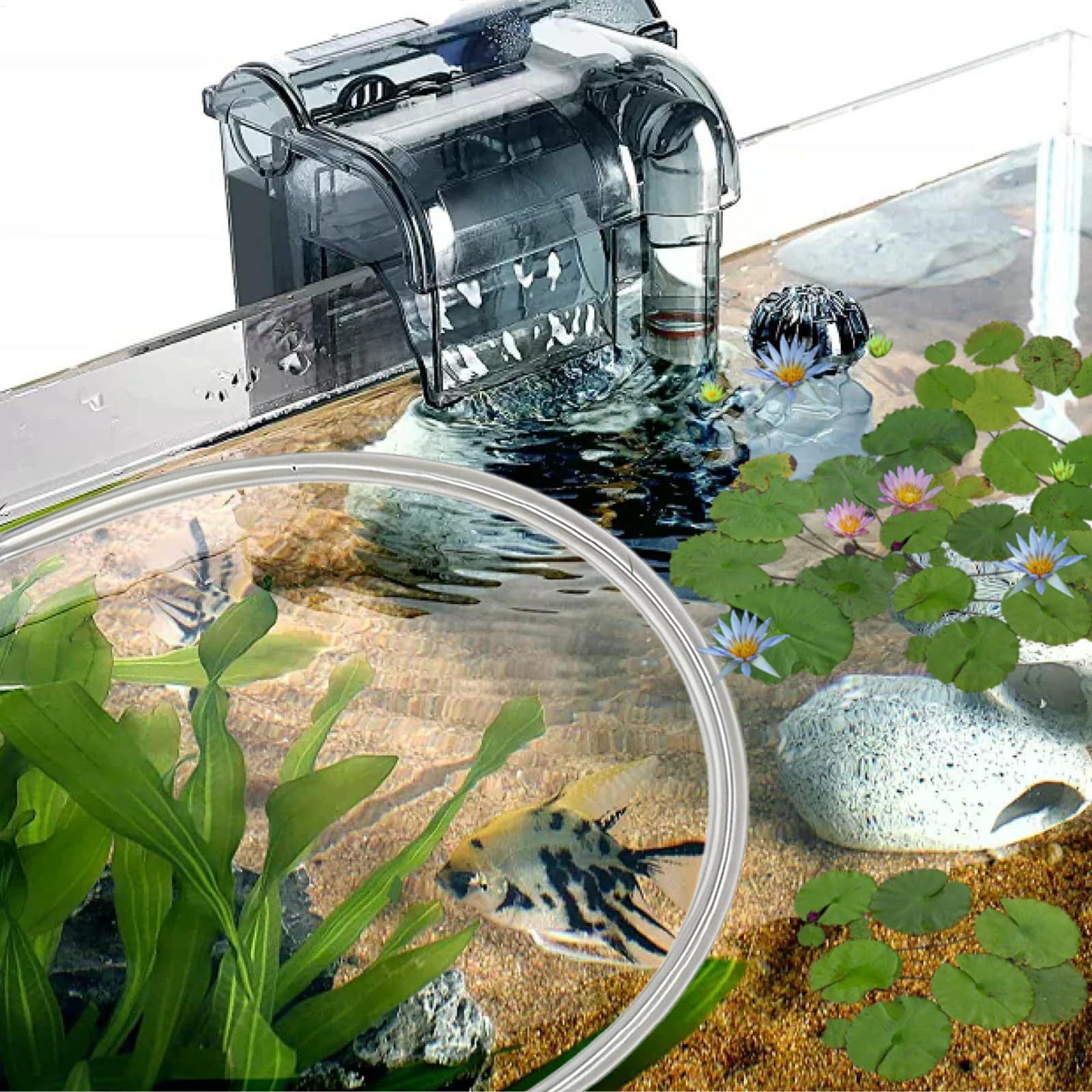 Aquarium Floating Plant Barrie – Planted Aquarium Tank Kit recenzja i cena