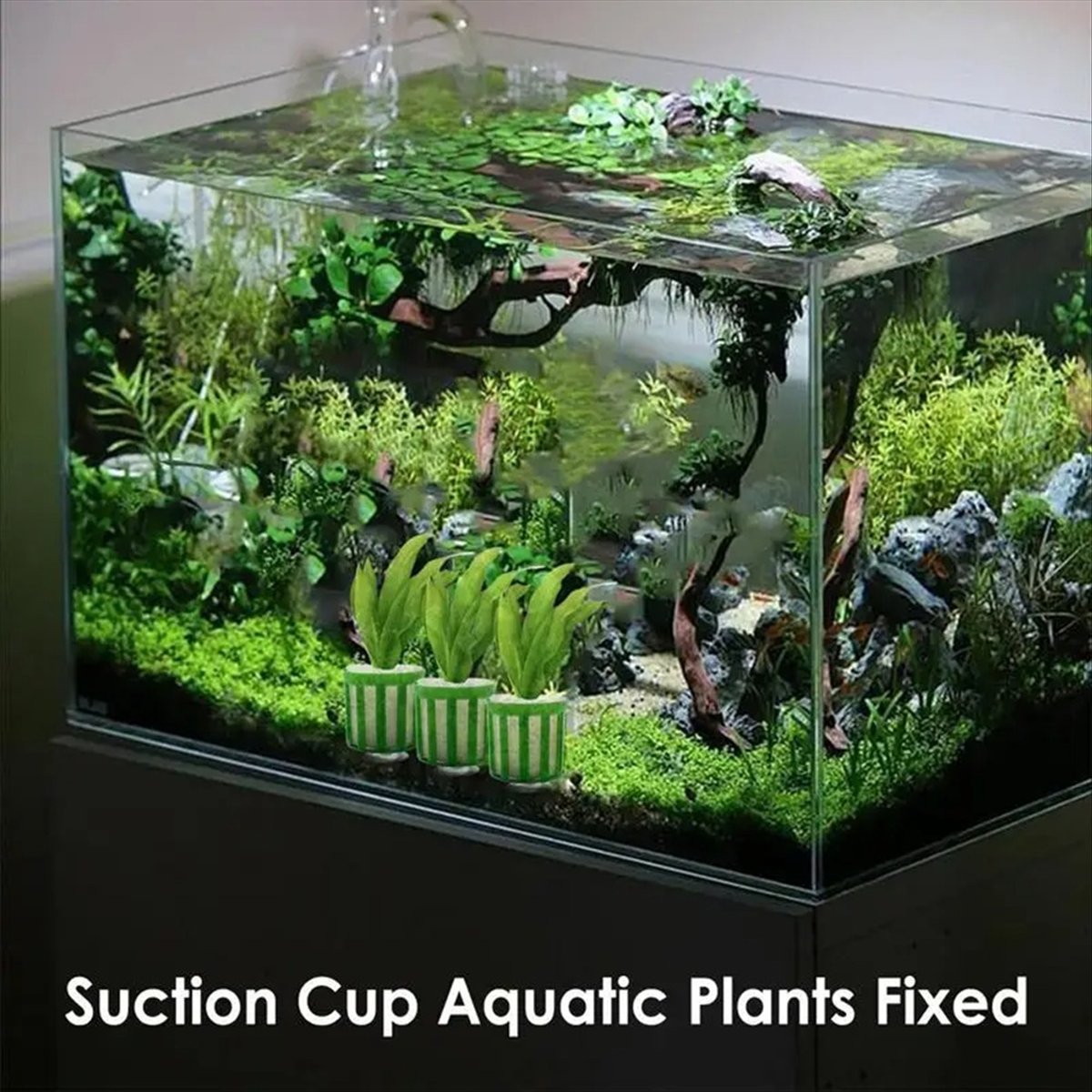 ABNQ Aquatic Plant Fixed Holde – Planted Aquarium Tool Kit recenzja i cena
