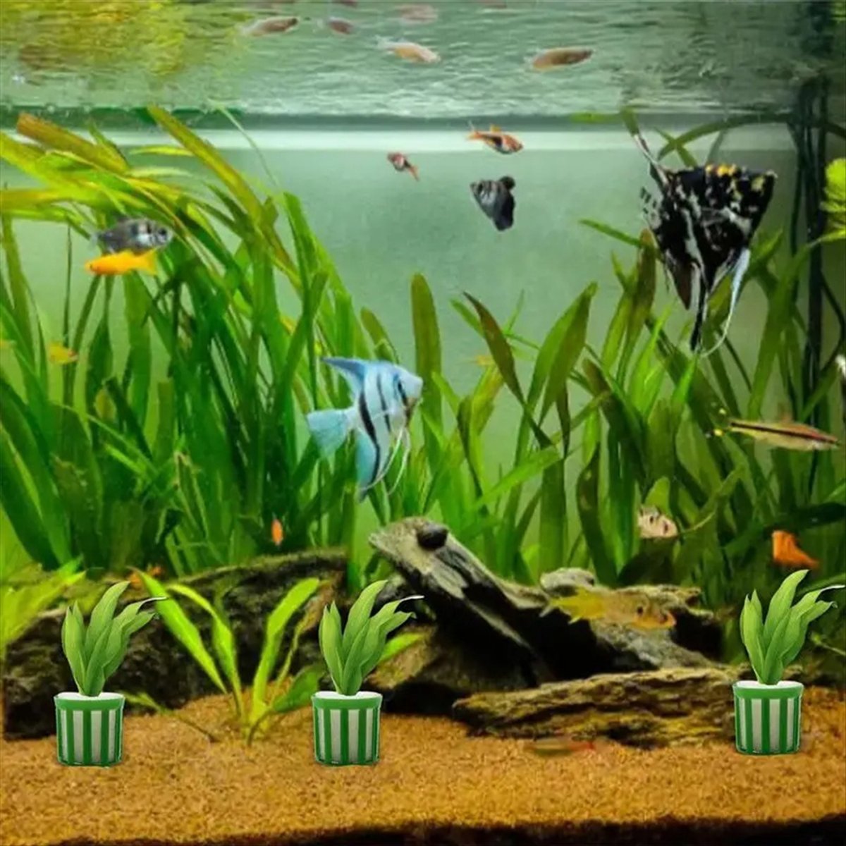 ABNQ Aquatic Plant Fixed Holde – Planted Aquarium Tool Kit recenzja i cena