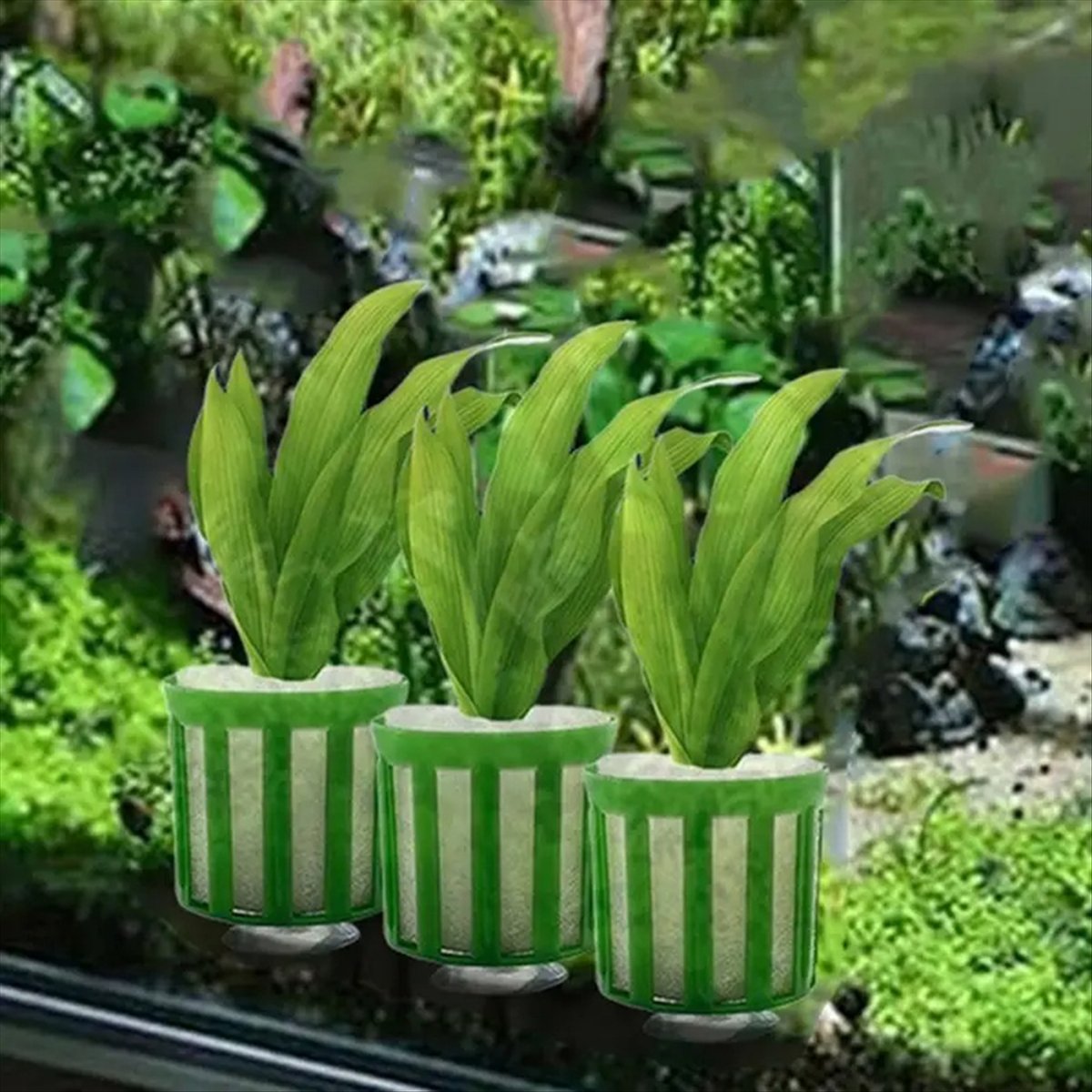 ABNQ Aquatic Plant Fixed Holde – Planted Aquarium Tool Kit recenzja i cena