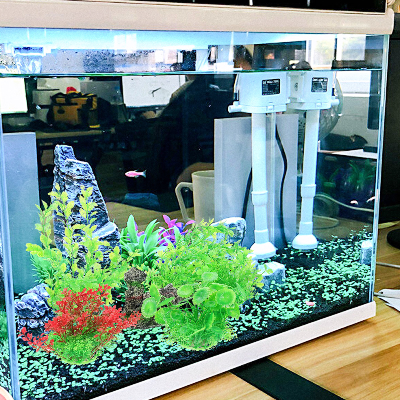 1Set Beautiful Simple Aquarium – Planted Aquarium Tank Kit recenzja i cena