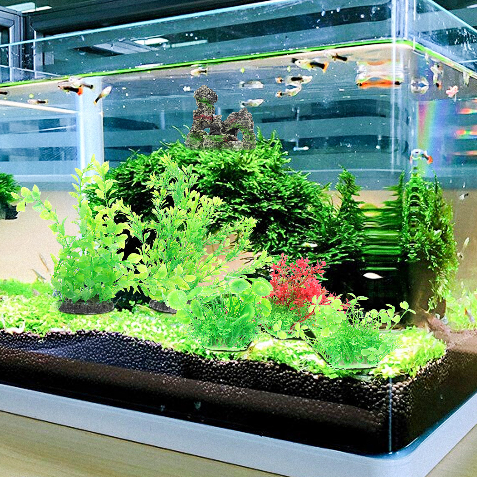 1Set Beautiful Simple Aquarium – Planted Aquarium Tank Kit recenzja i cena